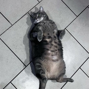 Meet your Posher, Olivia